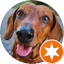 Antonela Leiva profile picture